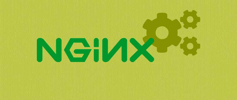 nginx control panel